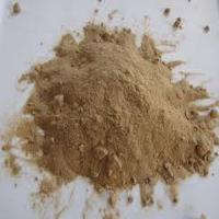 Organic Amla Powder