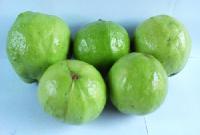 Fresh Guava