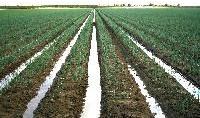 Agricultural Irrigation Systems