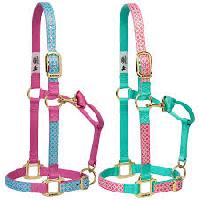 Nylon Halters