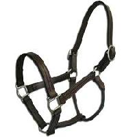 Horse Halters