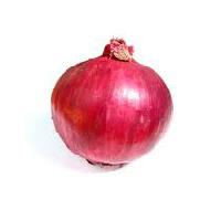 Onion