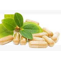 Pharmaceutical Food Supplements