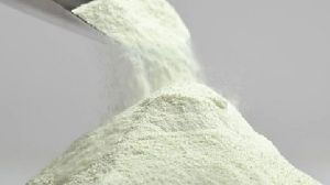 Acid Casein