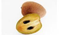 Sapodilla