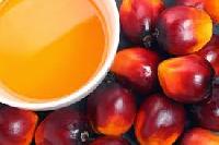 Crude Palm Oil