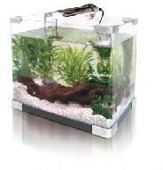 Fish Aquarium