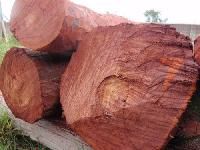 Red sandalwood