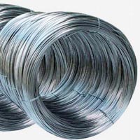 Stainless Steel Wire 