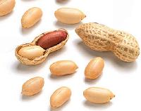 Groundnuts