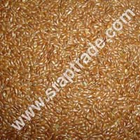 Black Mustard Seeds 01