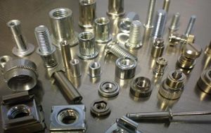 Stainless Steel Fastener