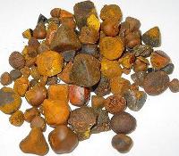 Ox Gallstones