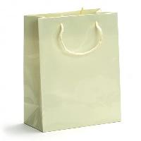 laminated shopping bag