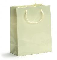 laminated shopping bag