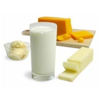 Dairy Product Cold Storage Rental