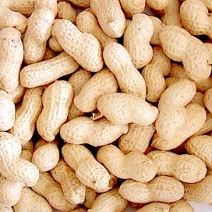 Groundnuts