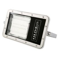 Led Flood Light