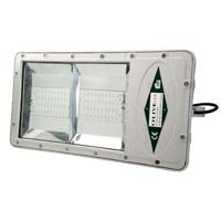 LED Flood Light (WA)