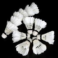 Badminton Shuttlecocks