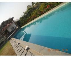 Swimming Pool Maintenance Services