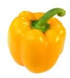 Yellow Capsicum