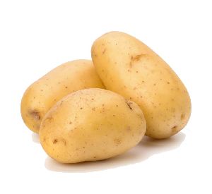 Fresh Potato