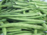 Fresh Guar Gum Beans