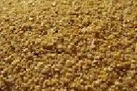 Soybean Meal