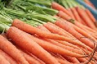 Fresh Carrot