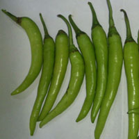 Green Chillies