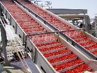 Tomato Processing Plant