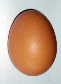 Brown Eggs