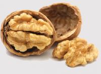 Walnut Shell