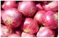 Fresh Onion, Red Onion