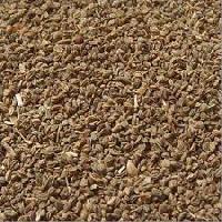 Celery Seeds