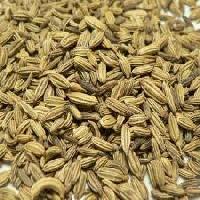 Fennel Seeds