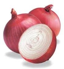 Onion