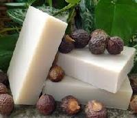 Soap Nut