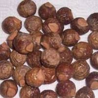 Soapnuts