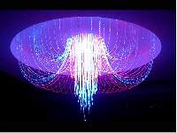 Fiber Optic Lights