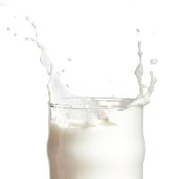 single toned milk