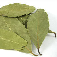 Bay Leaf