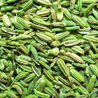 Fennel Seeds