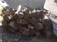 African Blackwood Logs
