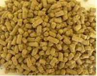 cattle feed raw materials