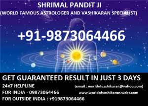 Astrologers, Vashikaran Services