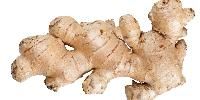 Ginger Root