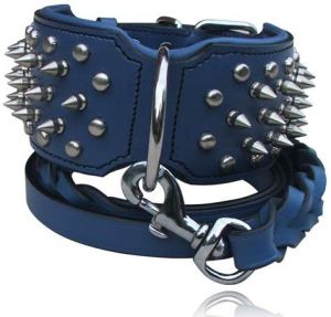 Dog Collars