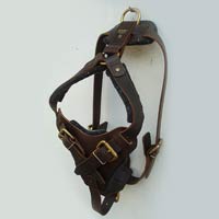 Dog Harness